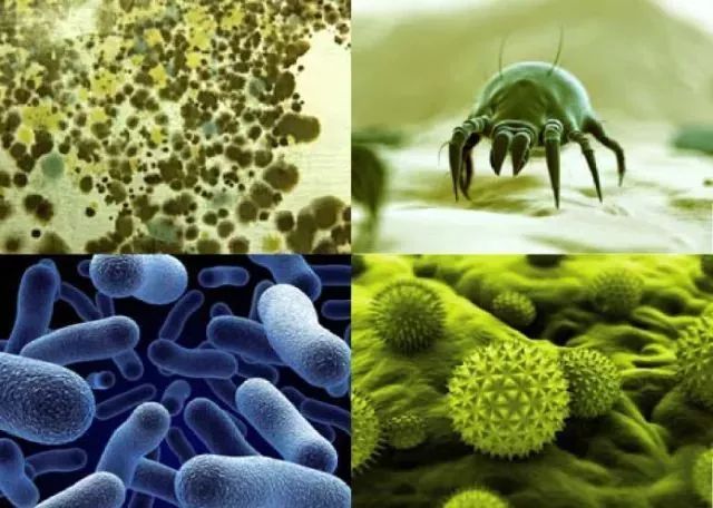 乳膠枕到底適合哪些人，你知道嗎？-SIREE乳膠枕官網(wǎng)