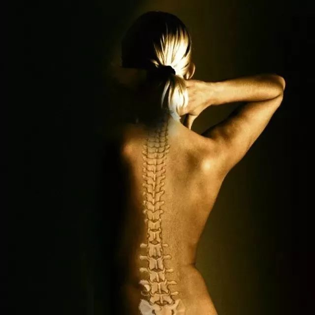 乳膠枕到底適合哪些人，你知道嗎？-SIREE乳膠枕官網(wǎng)